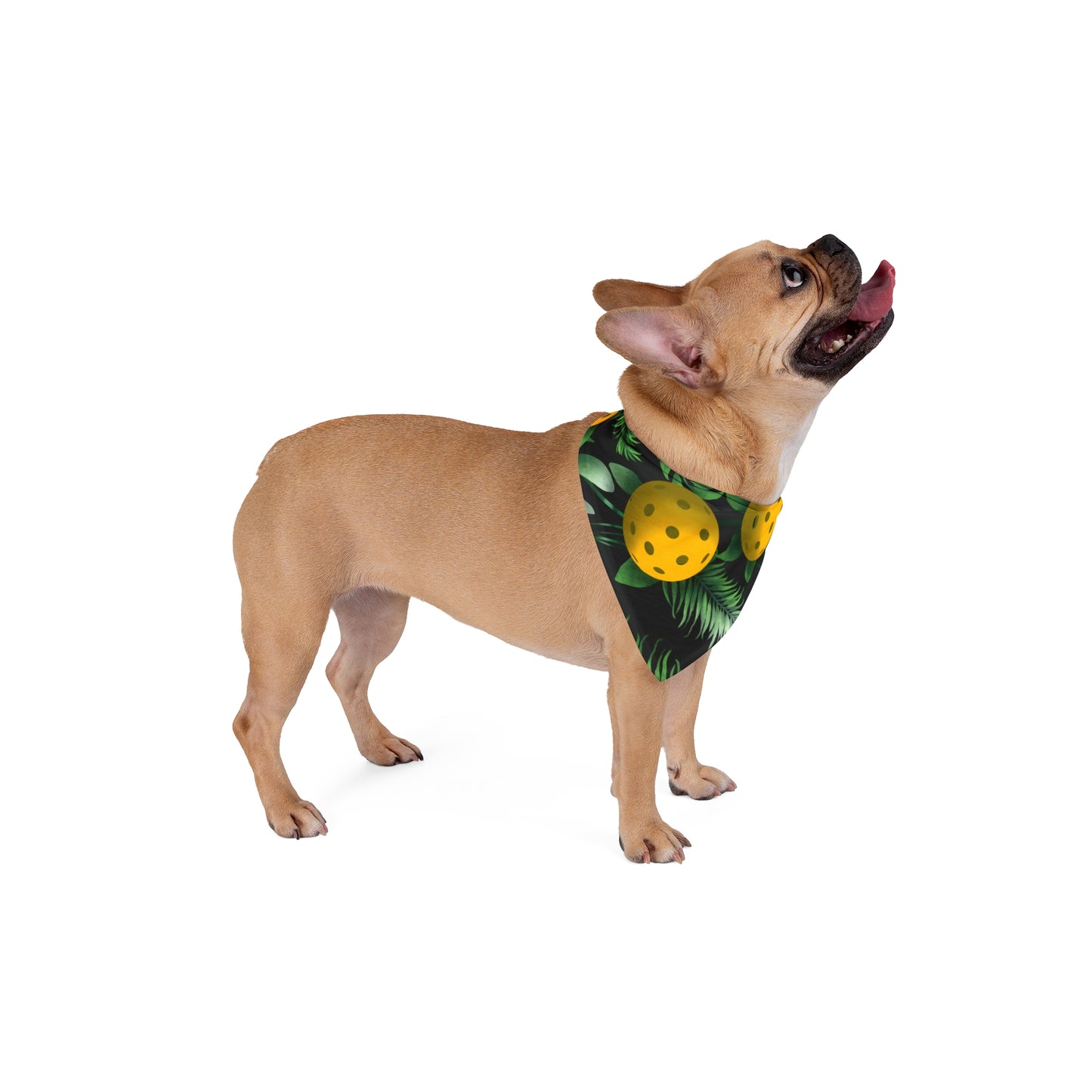 Pet Hawaiian Pickleball Bandana!